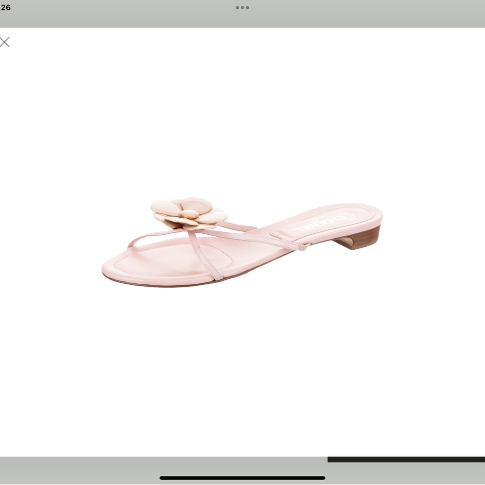 Chanel slides 39